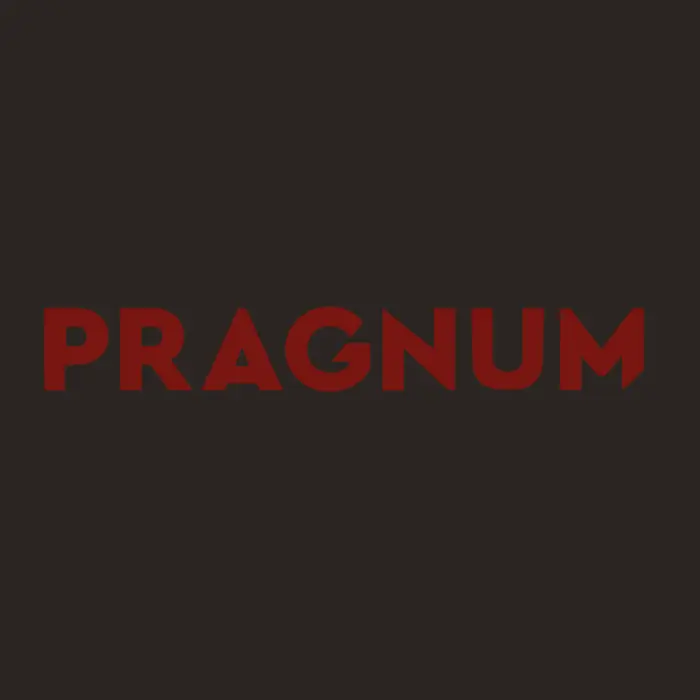 <span>Pragnum</span> Айдентика та розробка сайту для юридичної компанії